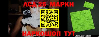 крисы Гатчина