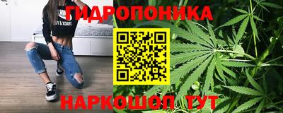 стаф Волгодонск