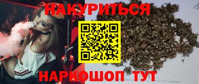 стаф Волгодонск