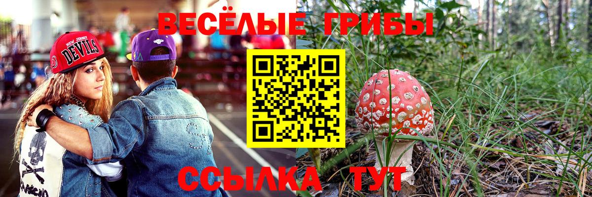 Псилоцибиновые грибы MAGIC MUSHROOMS  Вход с VPN  Галлюциногенные грибы мицелий  Новороссийск 