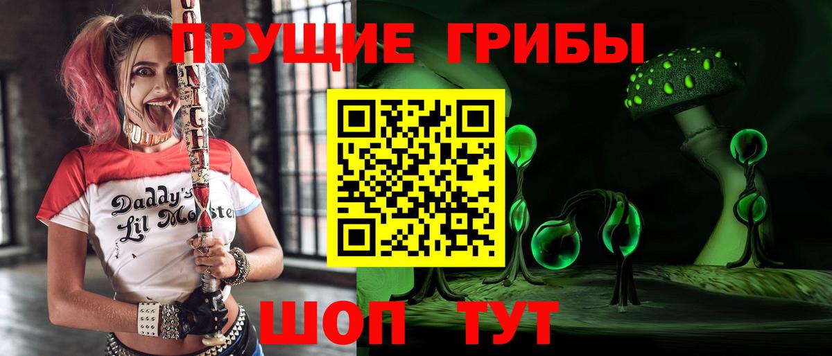 Псилоцибиновые грибы мухоморы Новороссийск